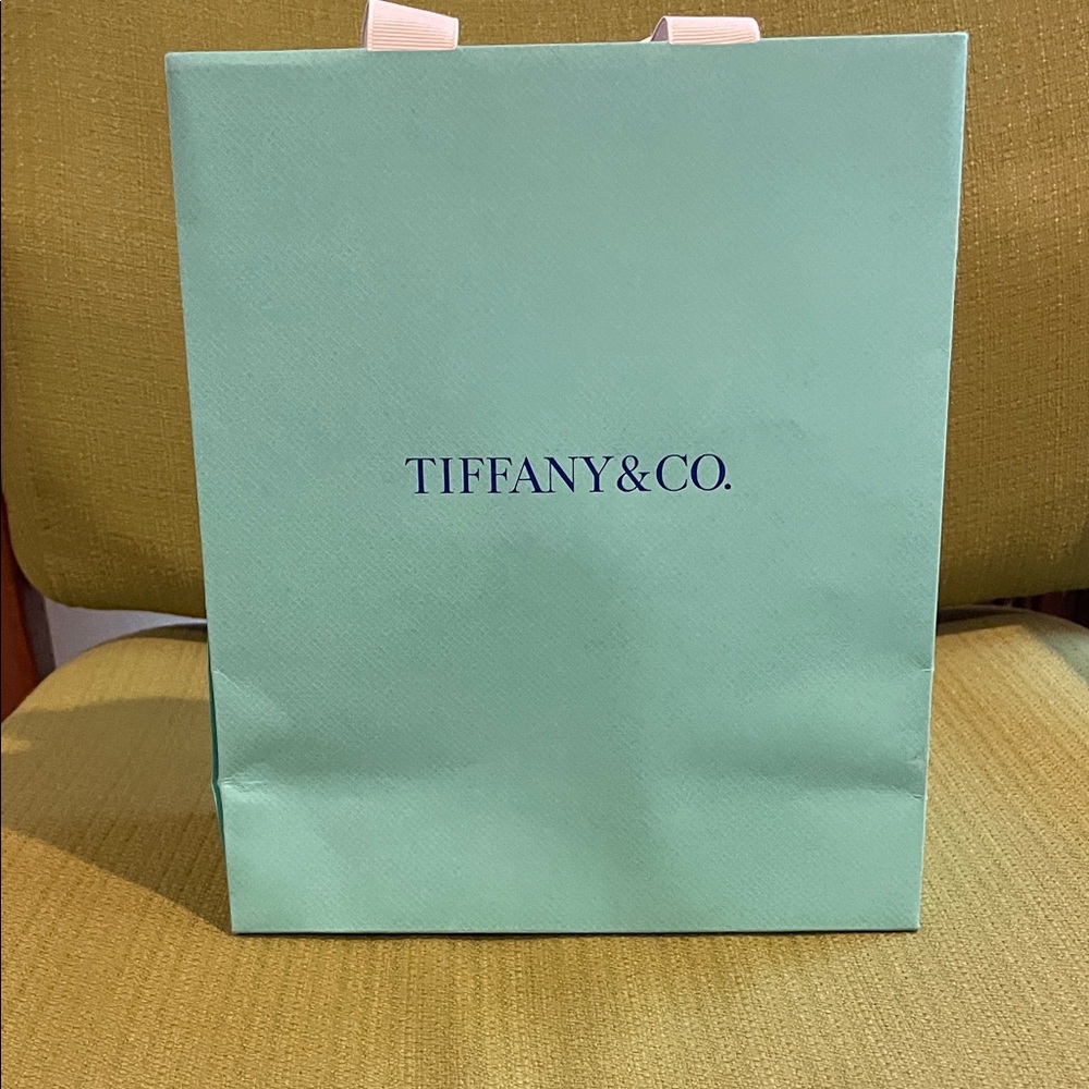 Tiffany & Co. Blue Gift Bag